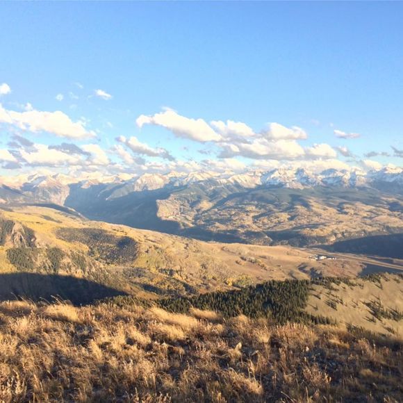 Meet your Posher, Elizabeth - Picture 1 of 1